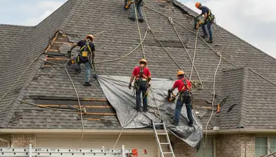 Lakeland, FL arborists clearing storm-damaged trees and debris for emergency tree service