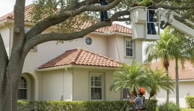 Tree service crew in Lakeland, FL providing professional tree trimming and removal services