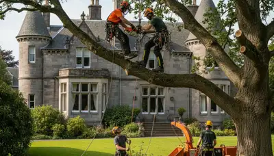 Tree service crew in Lakeland, FL providing professional tree trimming and removal services