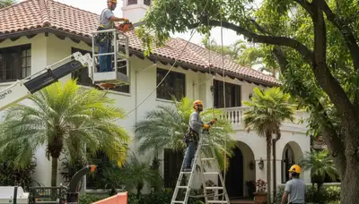 Tree service crew in Lakeland, FL providing professional tree trimming and removal for homeowners