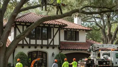 Tree service team in Lakeland, FL handling tree trimming and removal for a local property