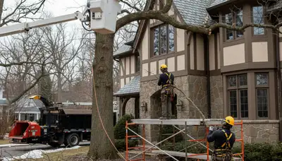 Tree service crew in Lakeland, FL handling professional tree care for local property owners